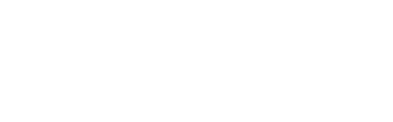 logo lieuwe punt be